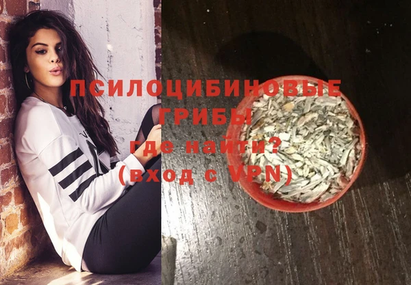 прущая мука Арсеньев