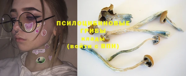 прущая мука Арсеньев