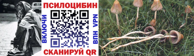 shop официальный сайт  Советская Гавань  Галлюциногенные грибы Psilocybine cubensis 